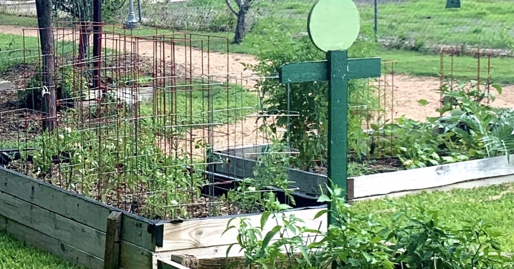 Collaboration between Green Spaces Alliance and Tito's Vodka brought improvements to the High Country Community Garden in northeast San Antonio. (Courtesy Green Spaces Alliance/Love Tito's)