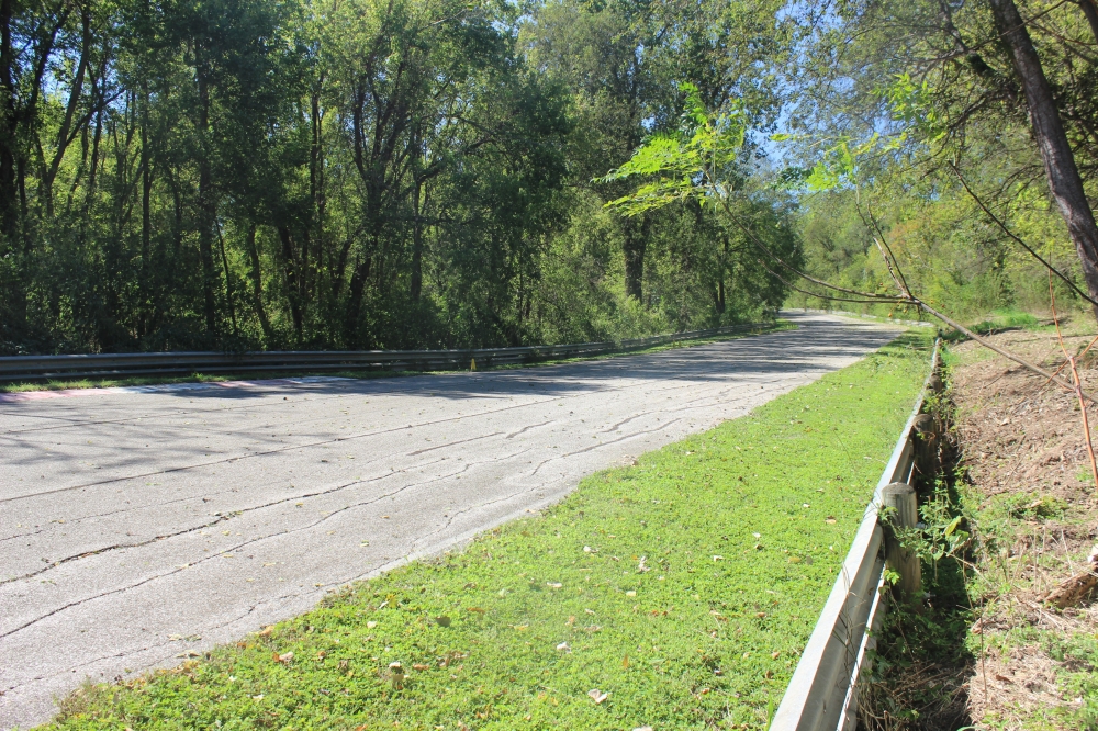The Driveway track features a wooded back straightaway and central 'park' space Dollahite said is occasionally used to host events. (Ben Thompson/Community Impact Newspaper)