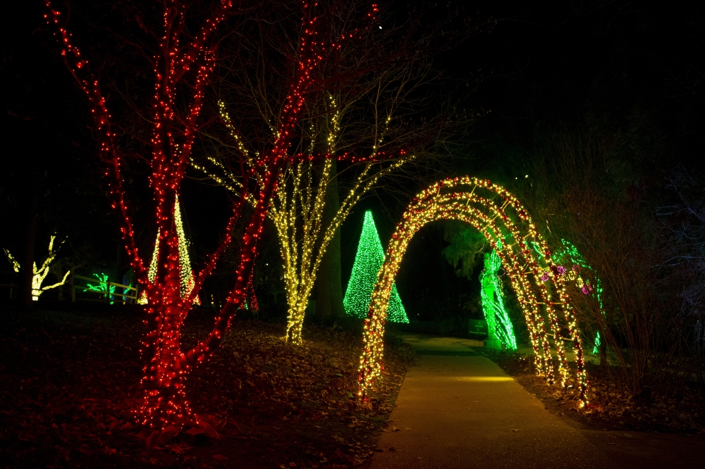 Cheekwood Holiday Lights returns Nov. 20. (Courtesy Cheekwood Estate and Garden, Caitlin Harris)