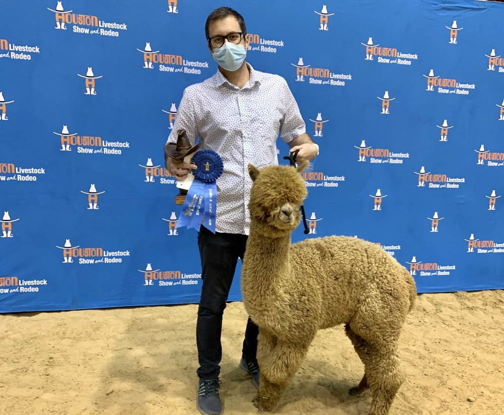 Dr. Zane Haider shows his alpaca, Coco Chanel, and its prize from competing in the Houston Livestock Show and Rodeo in 2021. (Courtesy Orthotex Smile Specialists)
