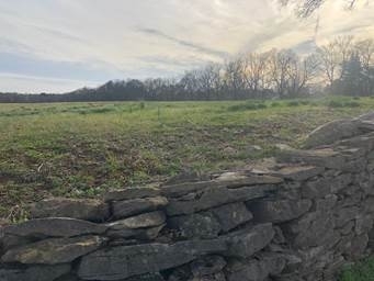 A photo of open space behind a stone wall off Old Smyrna Road.  On Nov. 22, the Brentwood City Commission approved a new zoning district allowing single family homes to be built on two acre lots as long as an overall density of one unit per three acres was maintained. 
