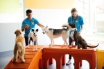 Dogtopia opened a new location on Durango Creek Drive in Magnolia Nov. 18. (Courtesy Dogtopia)
