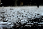 rainwater