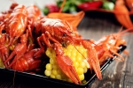 Tewbeleaux's Cajun Grill opened in Northwest Austin on Nov. 2. (Courtesy Adobe Stock)