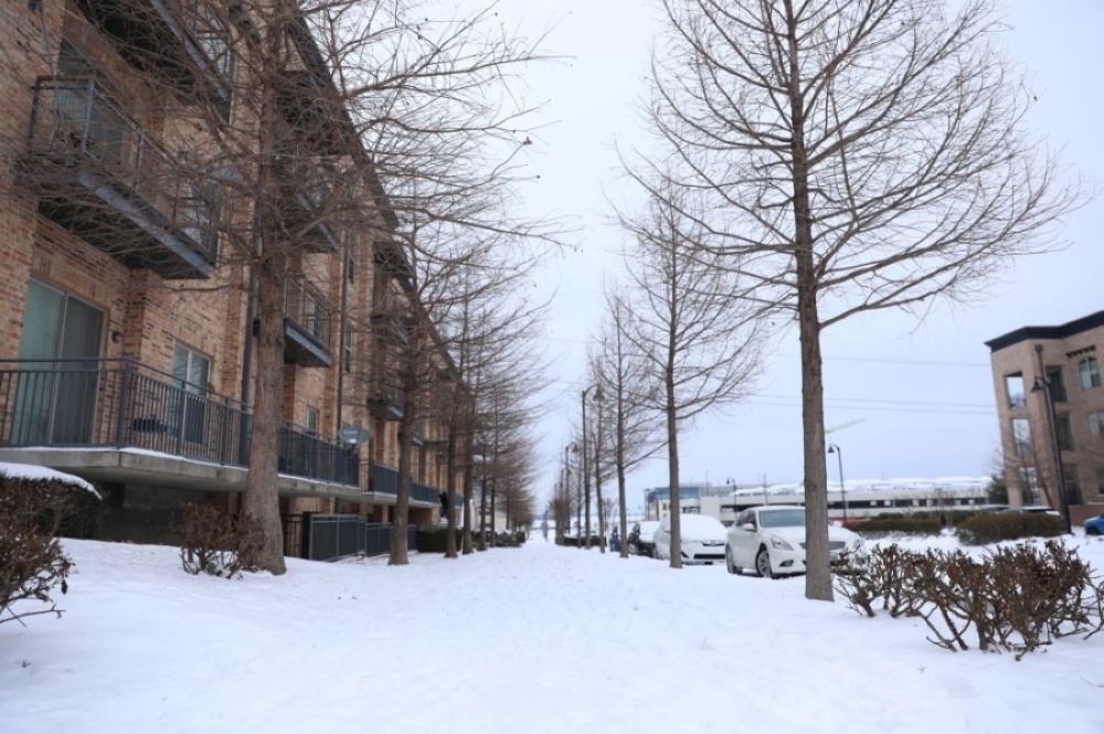 Snowy street.