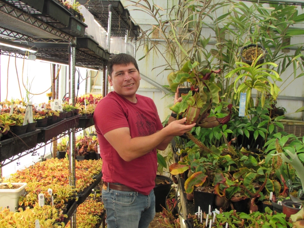 Carnivero owner Drew Martinez said the greenhouse is home to more than 20,000 plants at any time. (Community Impact Newspaper)