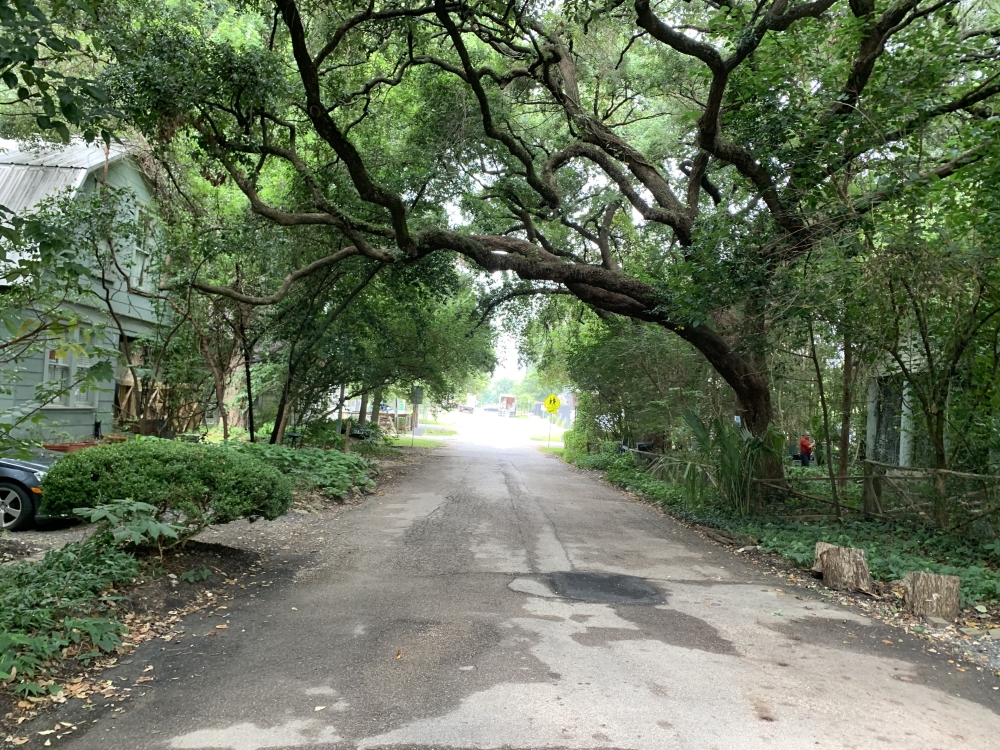 The Houston City Council will consider approving a proposed historical district near Rice Military following a public hearing slated for 9 a.m. Jan. 26. (Shawn Arrajj/Community Impact Newspaper)