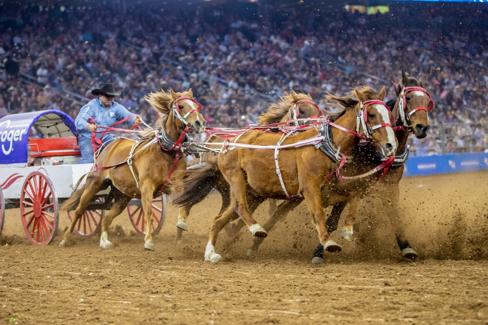 2025 Houston Livestock Show & Rodeo - Candis Roxanne