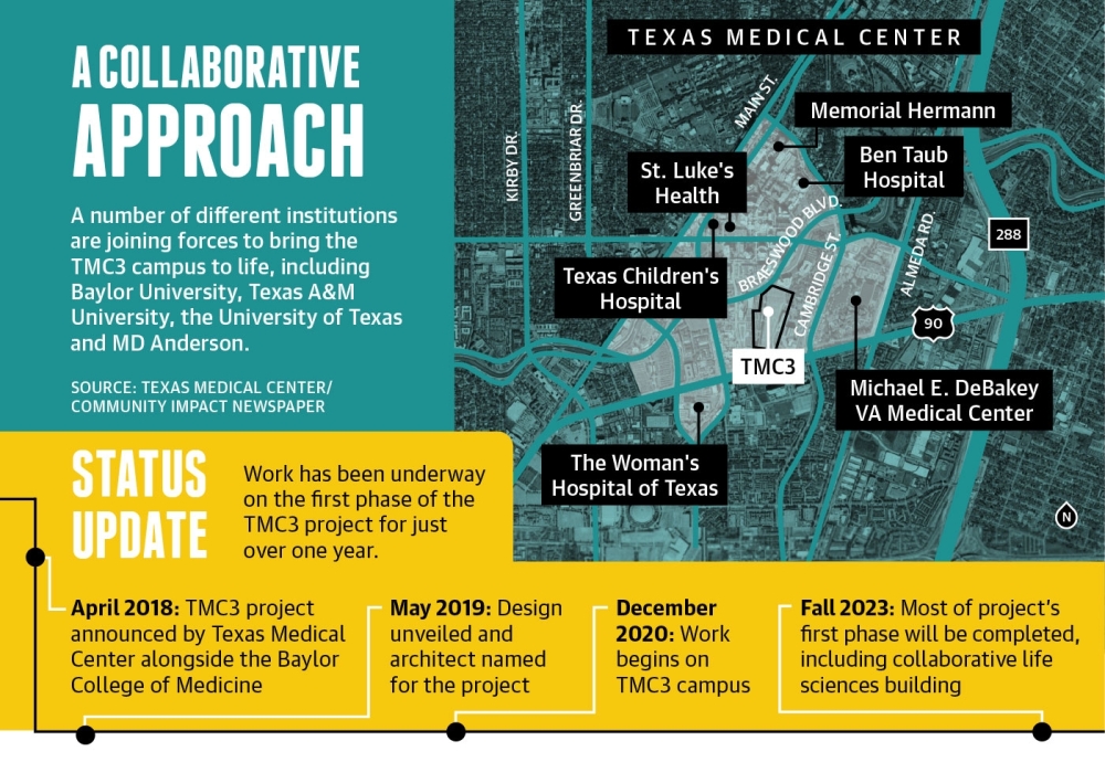 Graphics by Anya Gallant/Community Impact Newspaper