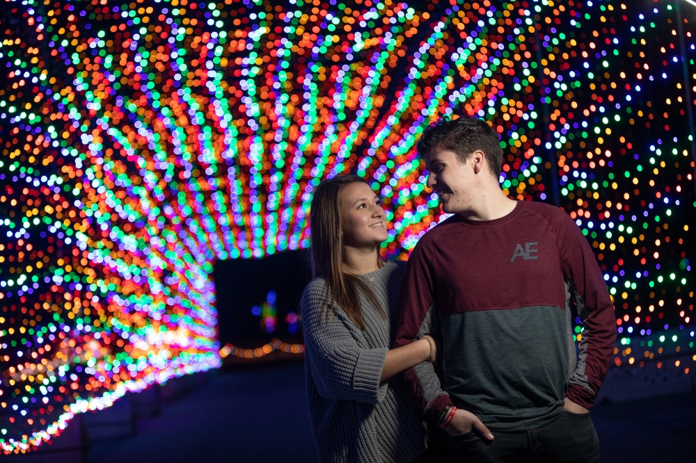 Lights on The Lake will feature a Candy Cane Lane, Frosted Forest, and