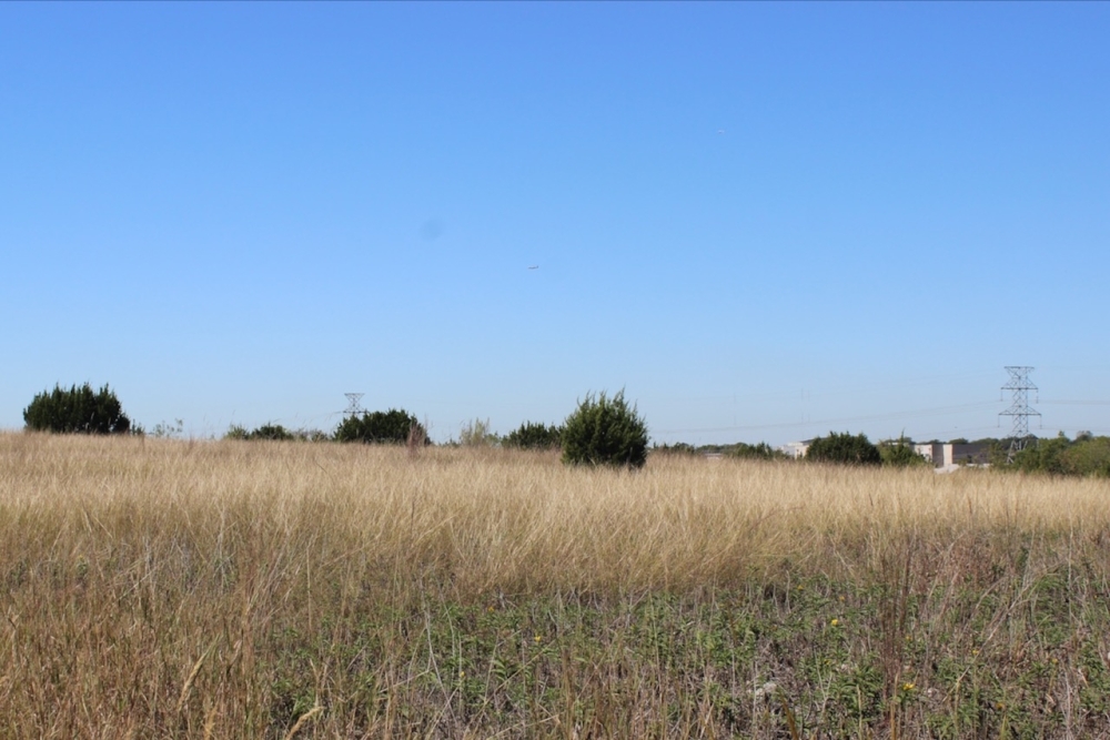 The future Colony Park Sustainable Community currently sits on more than 200 acres of undeveloped city land. (Ben Thompson/Community Impact)