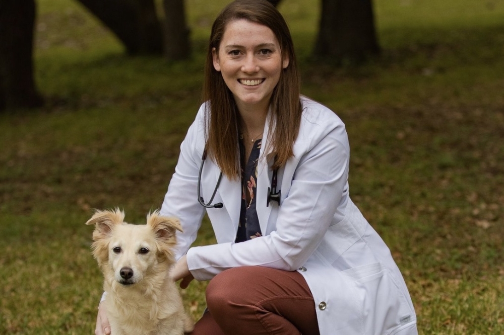 Crestview Veterinary Hospital at Tech Ridge to provide veterinary, urgent  care to pets | Community Impact