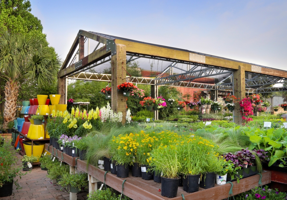 Shoal Creek Nursery staff helps customers create beautiful spaces at home