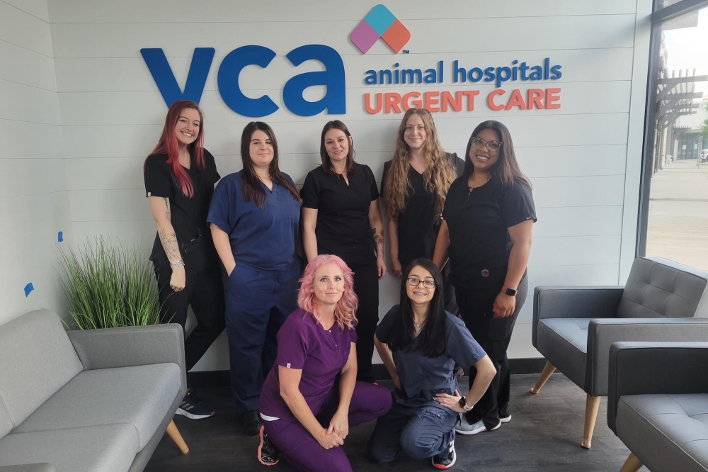 Vca Animal Hospitals Urgent Care Now Serving Cedar Park Pets