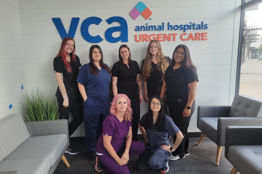 VCA Animal Hospitals Urgent Care Now Serving Cedar Park Pets