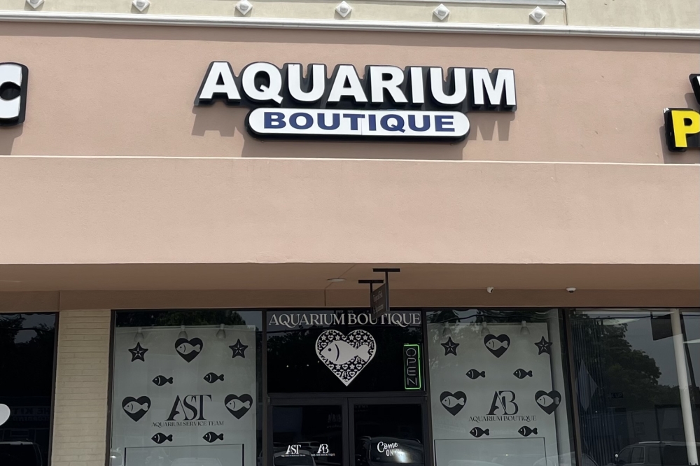 The Aquarium Boutique cancels closure, announces new ownership in Casa  Linda