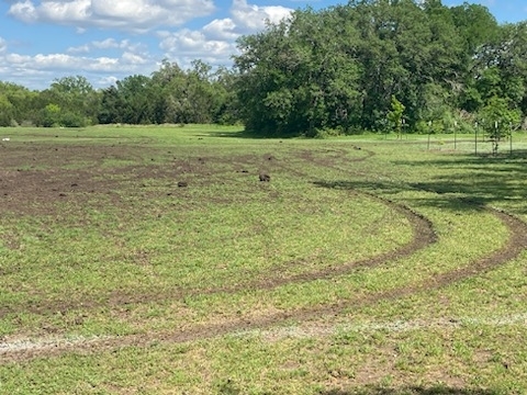 Mayor Pro Tem Paige Ellis says vehicles have driven across Circle C fields, causing issues for park patrons and local soccer club programs. (Courtesy Ed Scruggs)