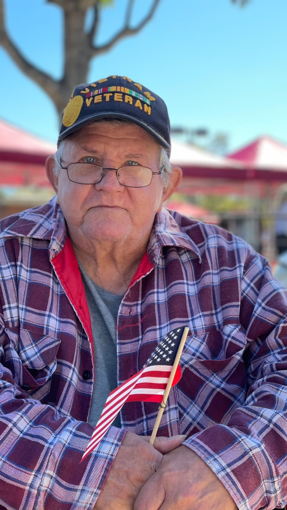 Veterans day parade lexington nc 2024