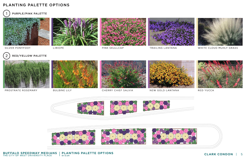 At the January city council meeting, council members were shown a variety of plant color options for the esplanade redesign. (Courtesy West University Place agenda docket)
