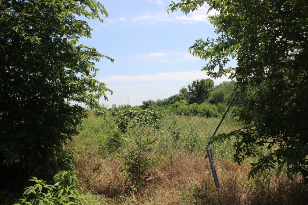 The property around 5402 S. Congress Ave. is overgrown, and residents said they hoped to protect an unidentified waterway there. (Ben Thompson/Community Impact)