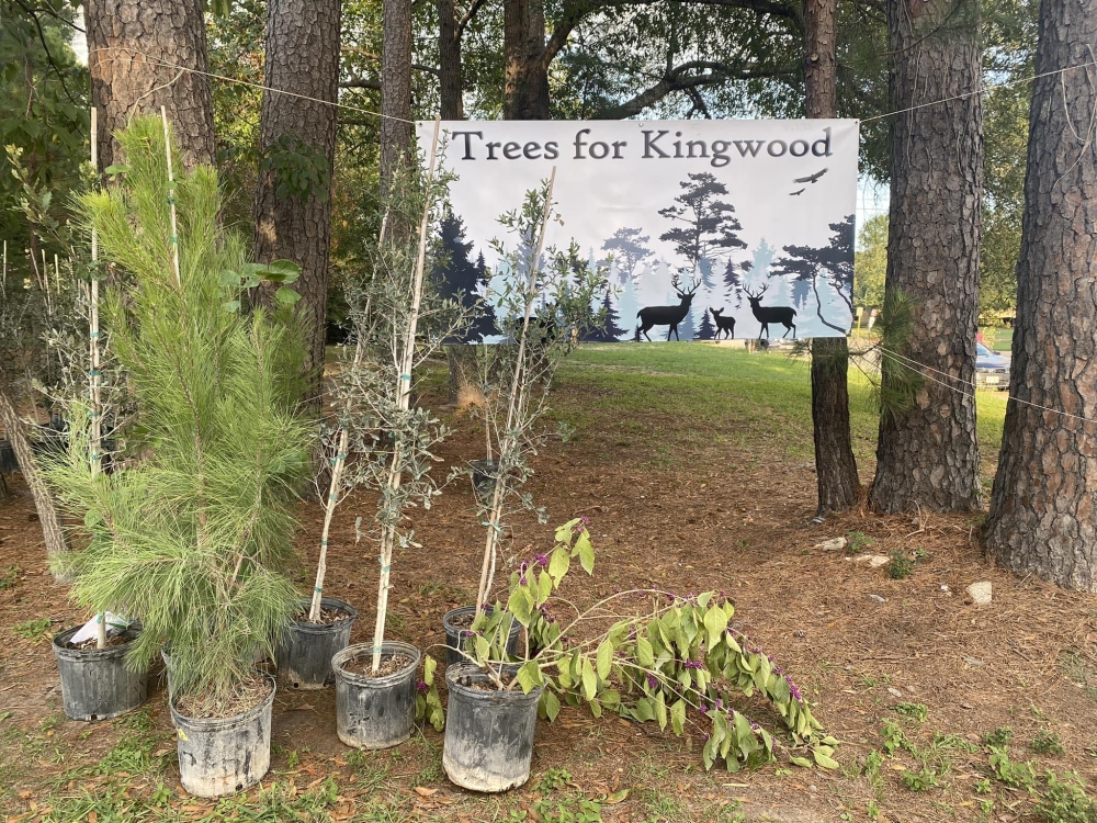 Trees for Kingwood aims to restore treetops in the “liveable forest”