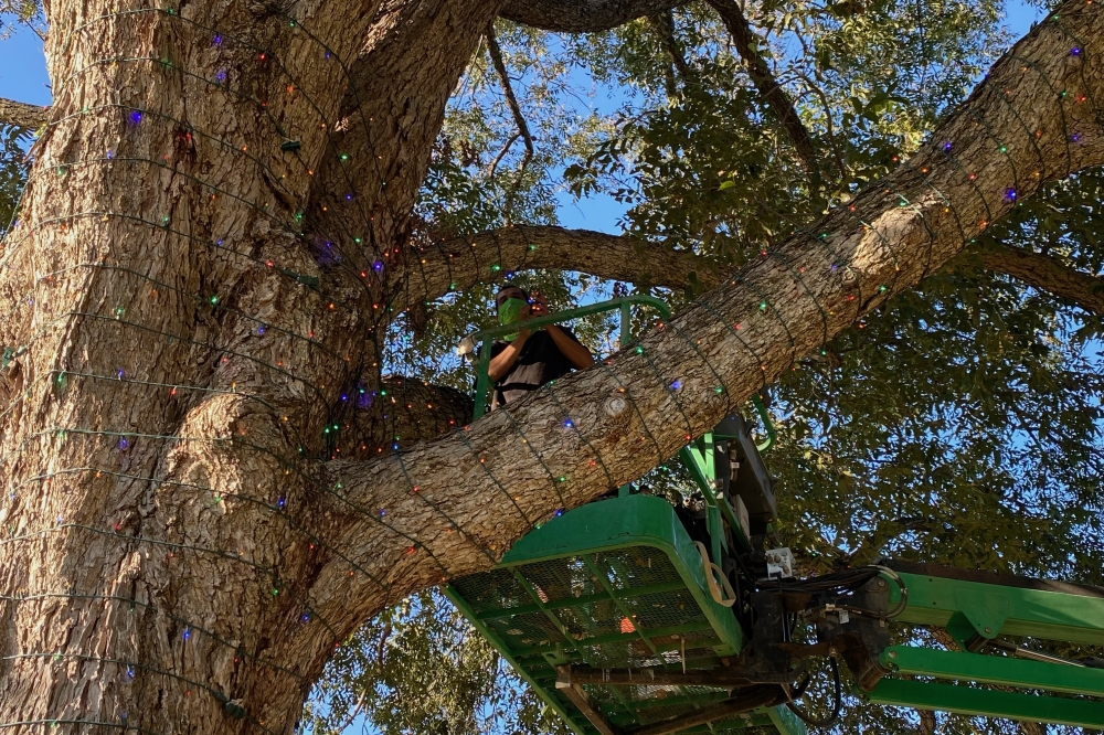 The Trail of Lights Foundation begins setting up the event the weekend after Halloween. (Courtesy Trail of Lights Foundation)