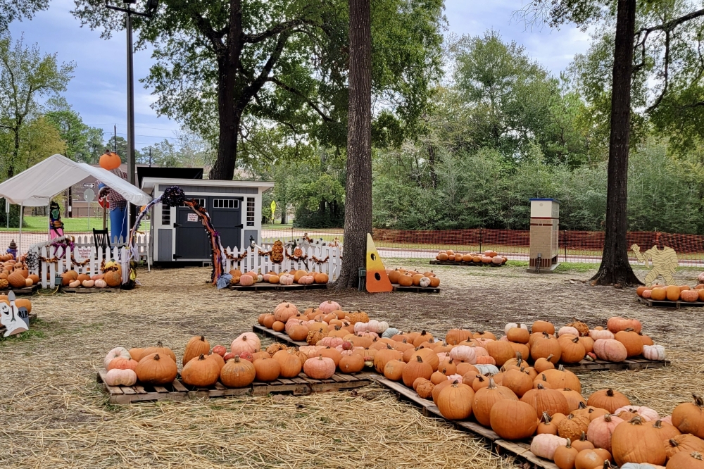 The Good Shepherd Pumpkin Patch will be held from Oct. 11-Oct. 30. (Courtesy The Good Shepherd Episcopal Church)