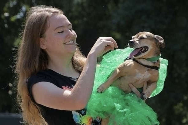 The In a Pickle Festival features a pet parade with pickle-themed outfits. (Courtesy Ray Jenkins Photography/In a Pickle Festival)