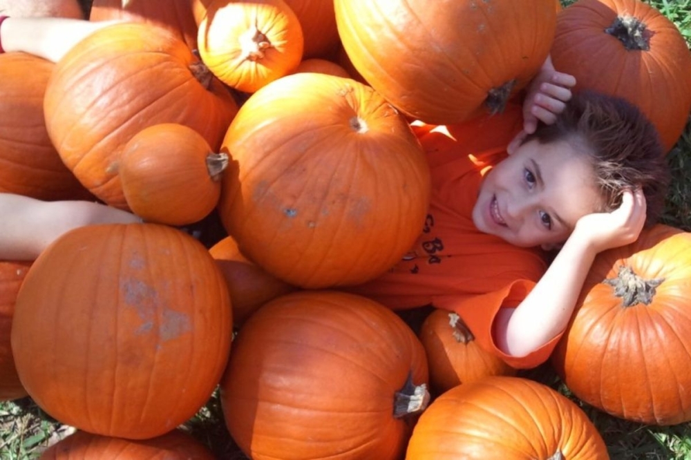 The Nature Discovery Center hosts a pumpkin patch fall festival in October. (Courtesy Nature Discovery Center)