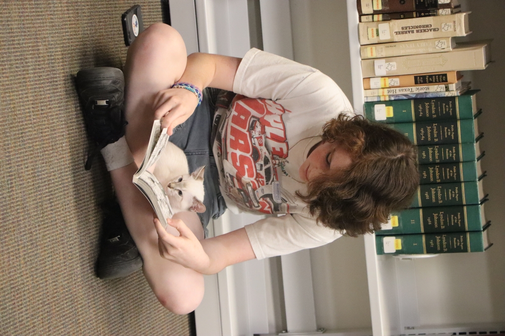 Read With Kittens will happen Sept. 28 from 11 a.m.-1 p.m. at the Bastrop Public Library. (Courtesy Bastrop Public Library)