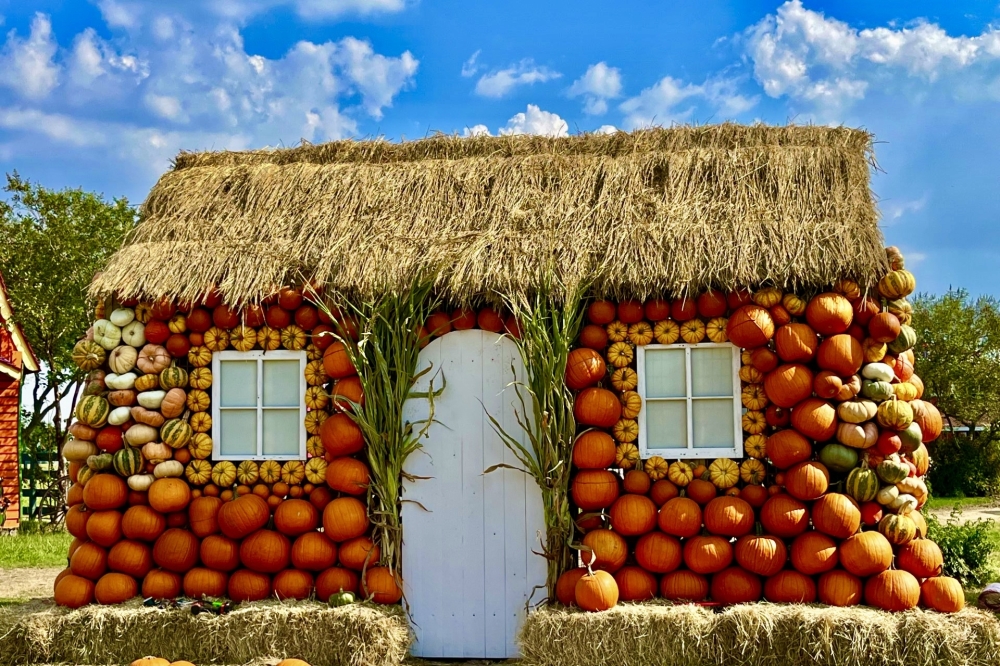 The Dewberry Farm Fall Festival and Pumpkin Patch is taking place through Nov. 3. (Courtesy Dewberry Farm)