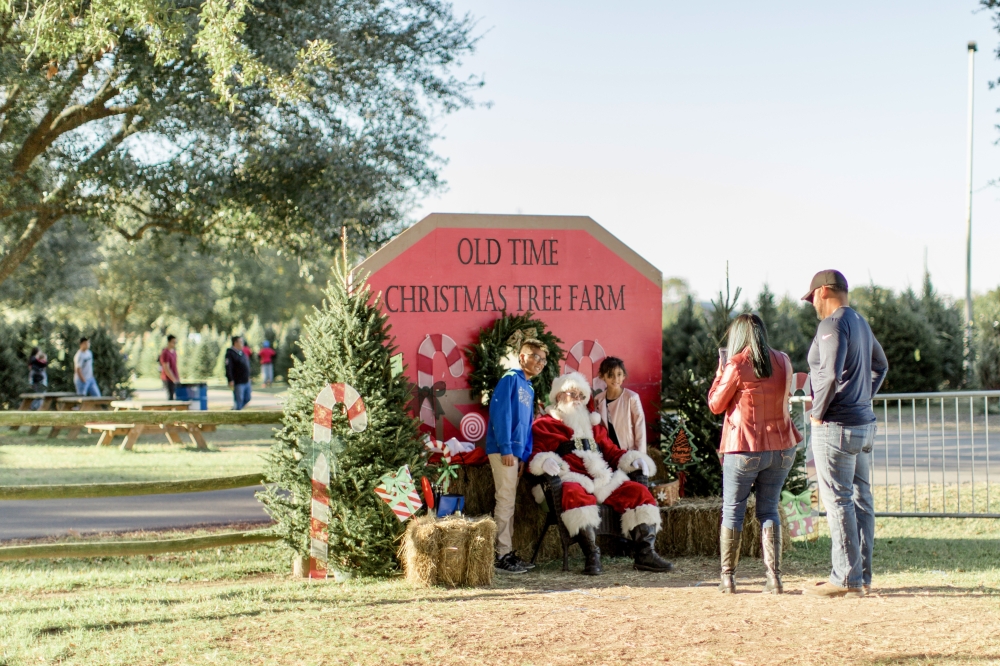 Old Time Christmas Tree Farm Christmas season is begins Nov. 23. (Courtesy Old Time Christmas Tree Farm)