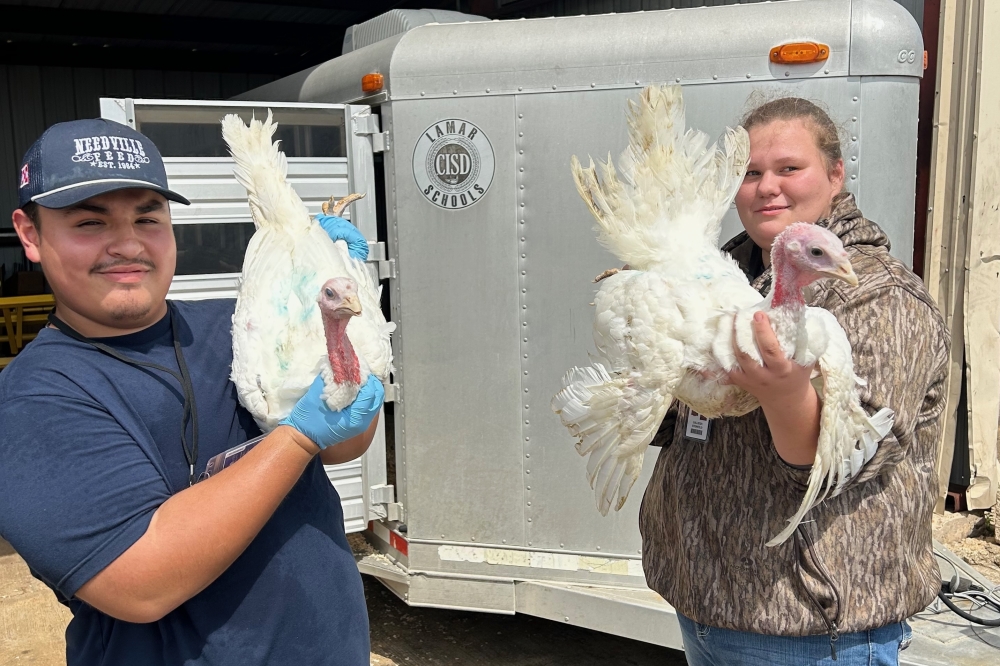 One Innovative School Day was ethical turkey harvesting where students were taught how to butcher and pluck turkeys before preparing and barbecuing the meat. (Courtesy Lamar Consolidated ISD)