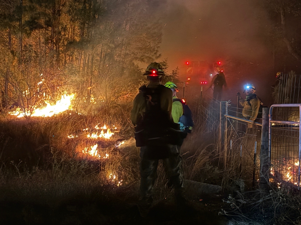 The wildfire began in the early afternoon near the 100 block of Hudson Road on Nov. 3. (Courtesy Nicholas Teague/Bastrop-Travis Counties Emergency Services District No. 1)