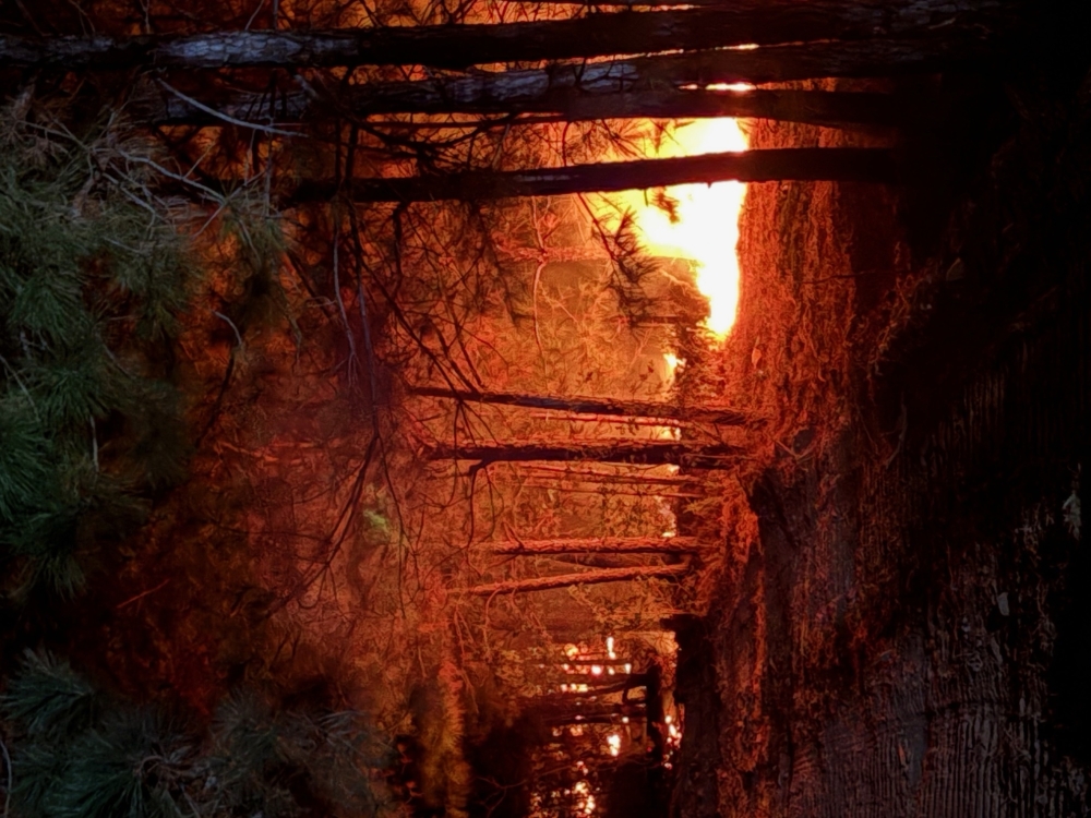 The wildfire began in the early afternoon near the 100 block of Hudson Road on Nov. 3. (Courtesy Nicholas Teague/Bastrop-Travis Counties Emergency Services District No. 1)