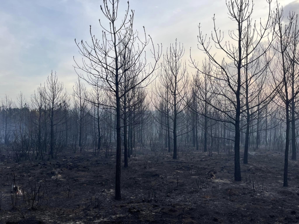 First responders battled the blaze day and night until it was completely contained on Nov. 7. (Courtesy Nicholas Teague/Bastrop-Travis Counties Emergency Services District No. 1)