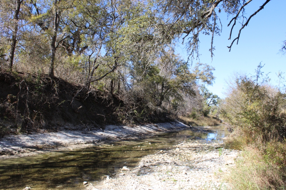 Opossum Creek flows through a green belt both near and on Jodi Bole's property. Bole said she’s seen armadillos, rabbits, hawks, monarch butterflies, wild turkeys and bobcats around her home. (Anna Maness/Community Impact) 