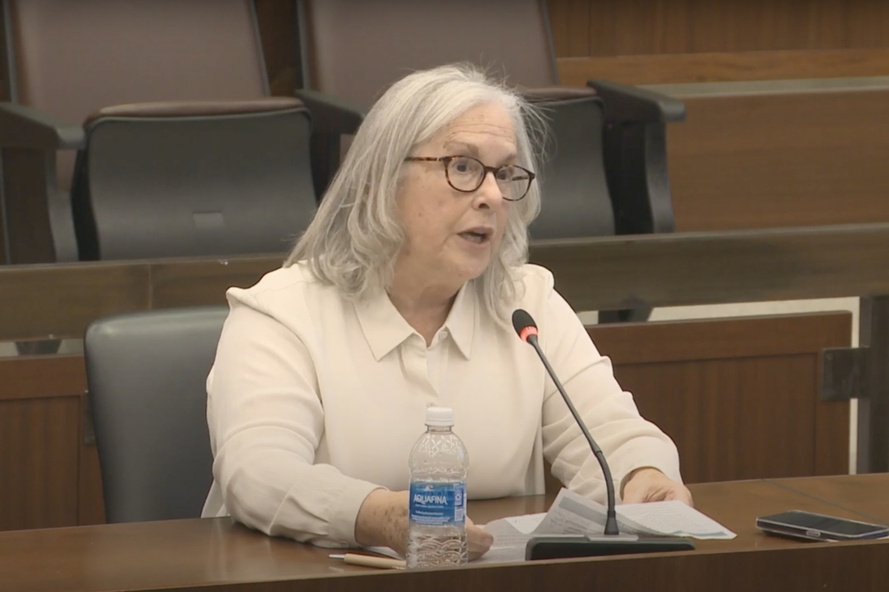 Austin Mayor Pro Tem Leslie Pool spoke about city development issues including the 'HOME' initiative at a Boston City Council land-use hearing Dec. 3. (Courtesy city of Boston)