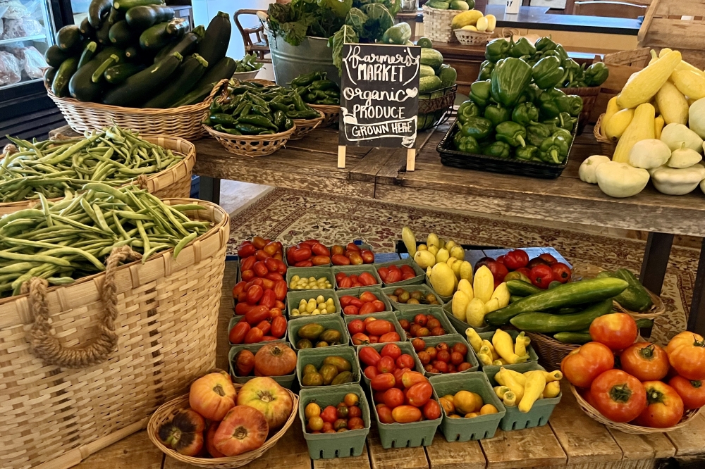 Season’s Harvest grows seasonal produce including squash, tomatoes, peppers and greens. (Courtesy Season's Harvest)