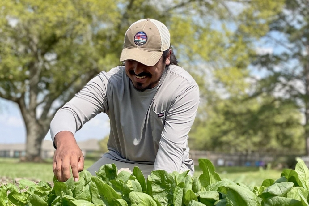 Season's Harvest is a family operated business located in Cypress. (Courtesy Season's Harvest)