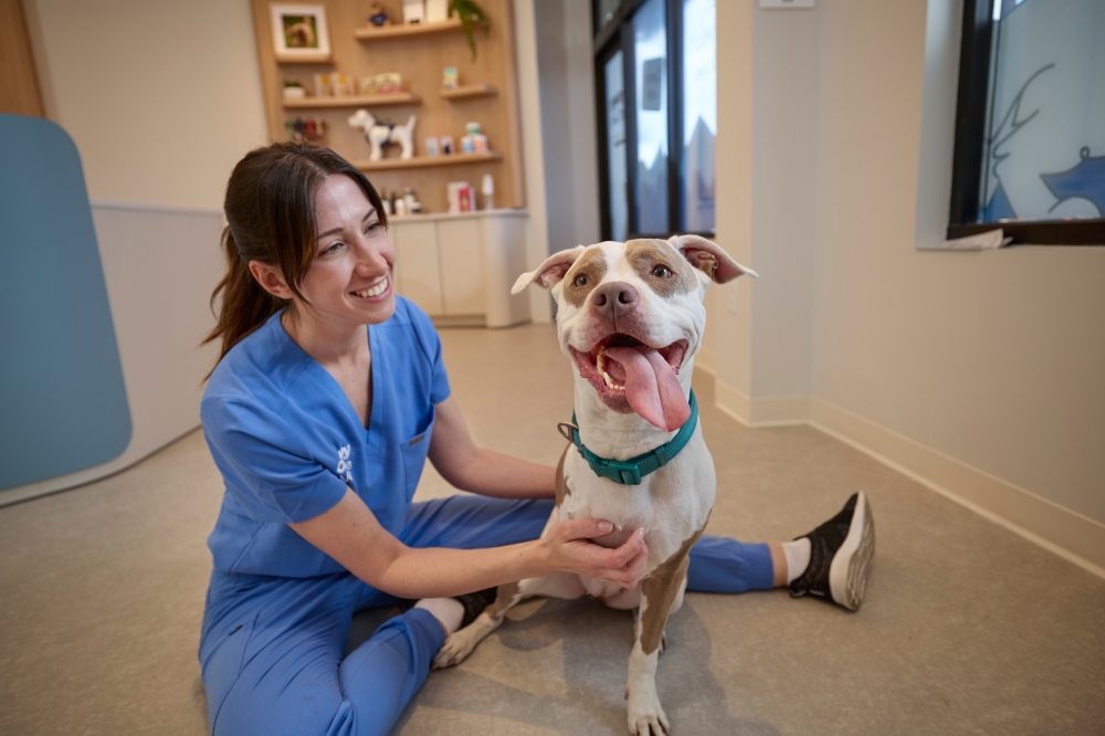 Chewy Vet Care clinics offer routine appointment services, urgent care treatments and surgery. (Courtesy Chewy Vet Care)