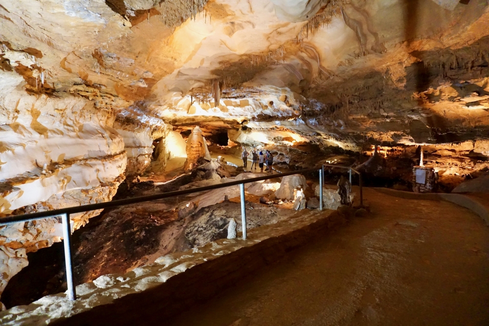 Inner Space Caverns offers three types of tours, which are tailored for visitors of different ages and accessibility levels.