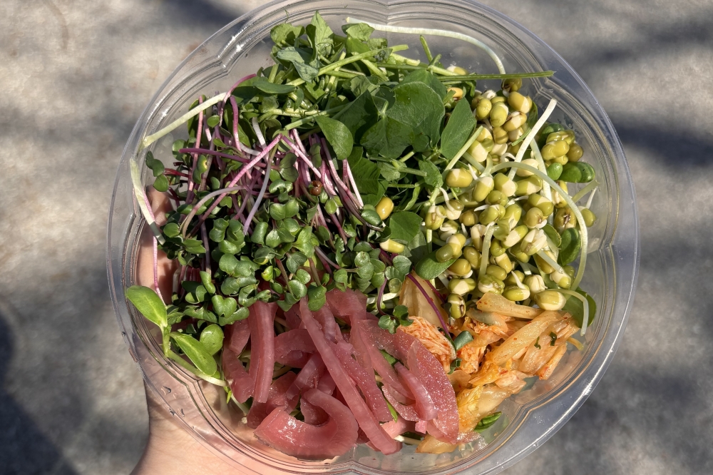 Sprouts Alive owner Nathan Wade produces nourishing food such as sunflower, broccoli and radish sprouts, pea shoots, and more from his urban garden on East 53rd Street. (Zara Flores/Community Impact)