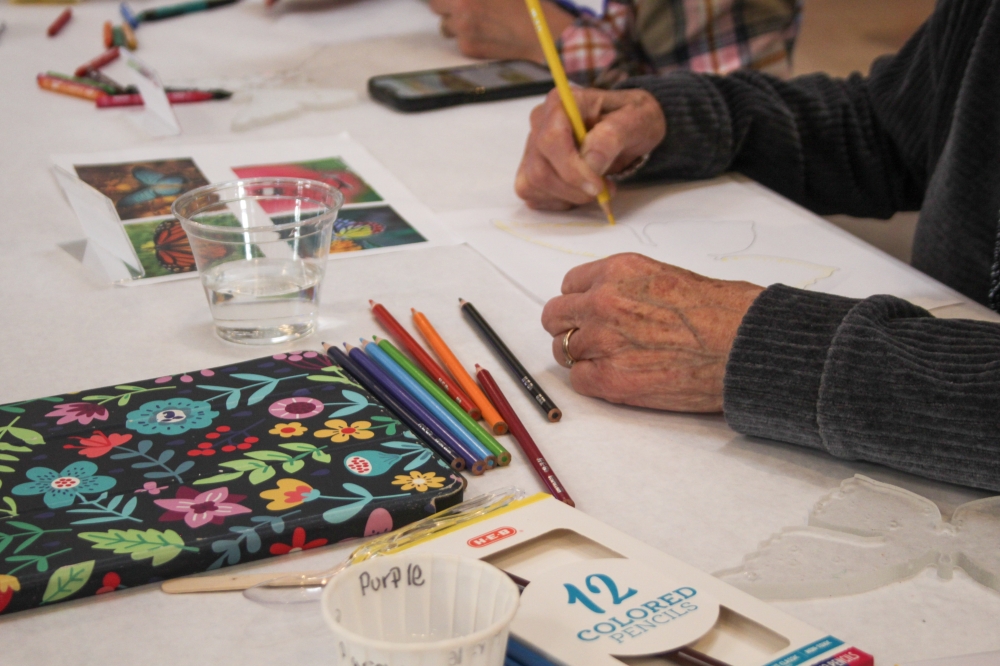 People who sponsor a butterfly can create their own design for the butterfly, which will eventually be displayed in an art installation at the new Dripping Springs Community Library when it is constructed. (Elisabeth Jimenez/Community Impact)