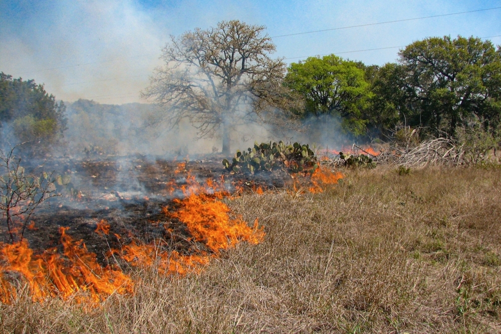 Austin Water conducts prescribed burns on city Water Quality Protection Land. (Courtesy Austin Water)