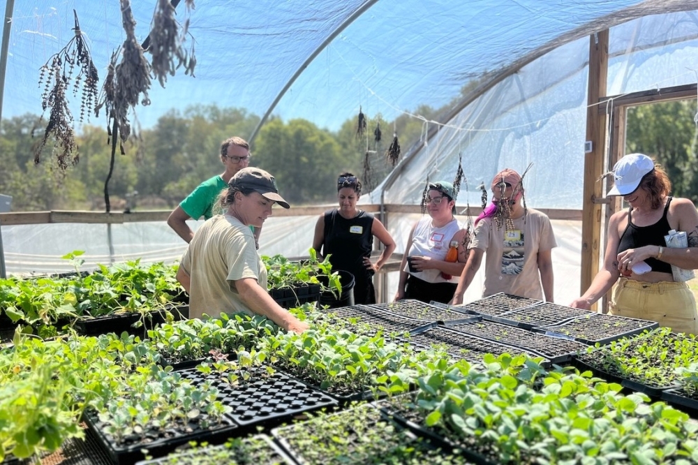 Urban Roots welcomes volunteers and offers educational farm tours. (Courtesy Urban Roots)