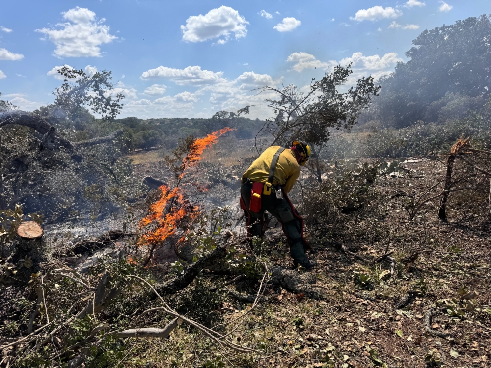 Williamson County firefighters extinguish wildfire