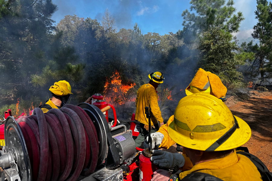 Firefighters fight fire in Williamson County