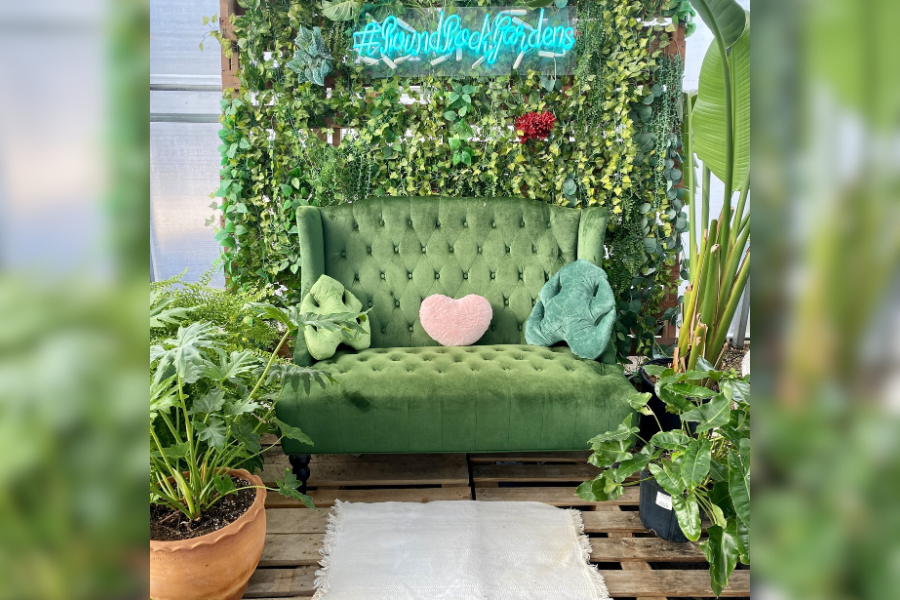 Couck inside of plant nursery in Round Rock staged for photos