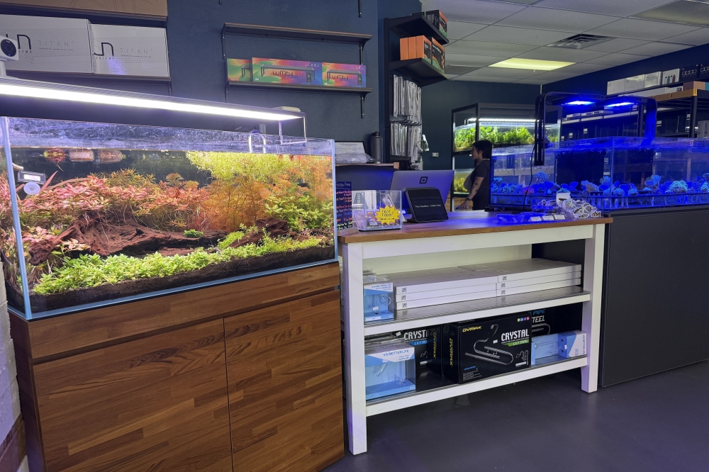 Tiny Aquatics features a range of aquarium tank equipment from cleaning supplies and food to plants and decor. (Dacia Garcia/Community Impact)